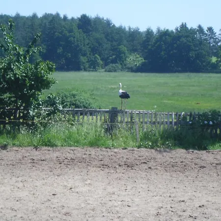 Holiday home Mandys Reitstall Sukow (Mecklenburg-Vorpommern)