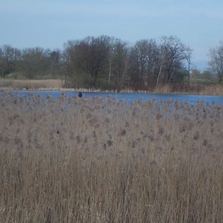 Mandys Reitstall * Sukow (Mecklenburg-Vorpommern)
