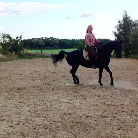 Mandys Reitstall *